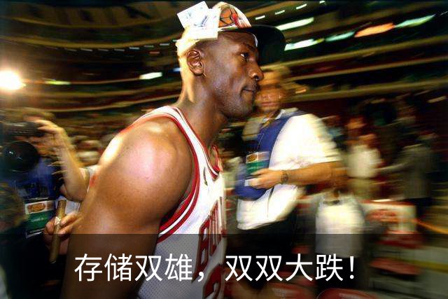 存储双雄，双双大跌！