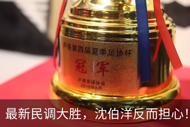 最新民调大胜，沈伯洋反而担心！台专家：国民党将赢13-15个县市