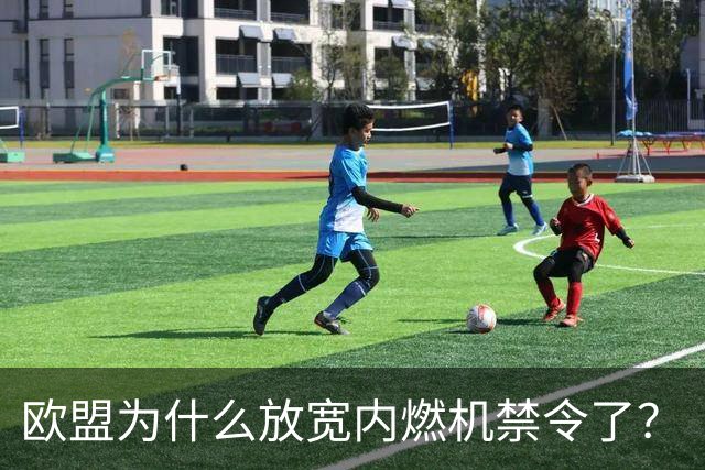 欧盟为什么放宽内燃机禁令了？