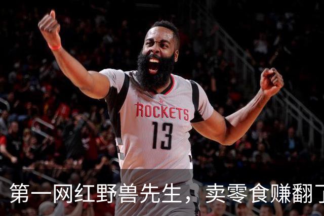 第一网红野兽先生，卖零食赚翻了