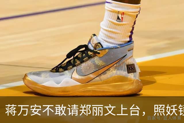 蒋万安不敢请郑丽文上台，照妖镜一照就露底