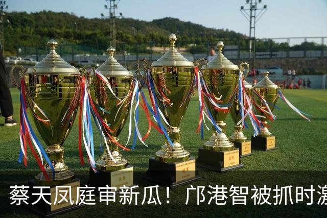 蔡天凤庭审新瓜！邝港智被抓时激烈反抗，右脸被擦伤，逃脱地存疑