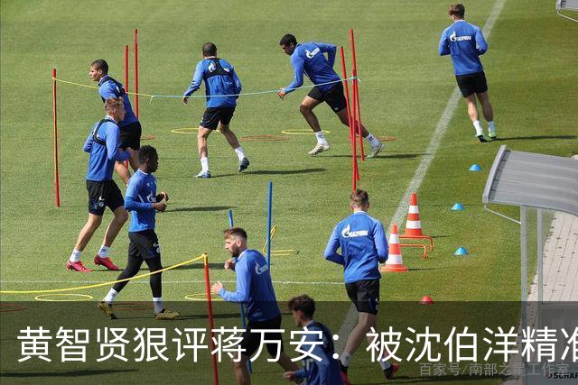 黄智贤狠评蒋万安：被沈伯洋精准拿捏、全程跟风被动
