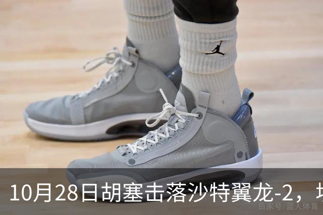 10月28日胡塞击落沙特翼龙-2，埃及议会三分之二多数授权防卫支援