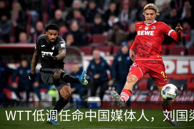 WTT低调任命中国媒体人，刘国梁离场后，全球传播权花落谁家？